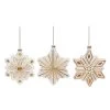 Transpac Glass 5.375 in. Multicolored Christmas Accent Snowflake Ornament Set of 3 2 Transpac Glass 5.375 in. Multicolored Christmas Accent Snowflake Ornament Set of 3 -Christmas Ornaments Sales GUEST 31331c52 97d8 4c97 8485 1e68338ca191