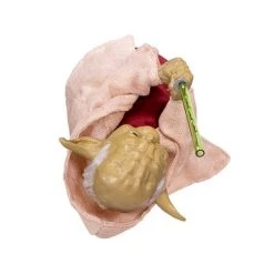 Kurt S. Adler Kurt Adler 12-Inch Battery-Operated Star Wars Yoda with LED Light Saber Treetop 10 Kurt S. Adler Kurt Adler 12-Inch Battery-Operated Star Wars Yoda with LED Light Saber Treetop -Christmas Ornaments Sales GUEST 88dd0def a6f8 46f2 898f b8d3105c50ff