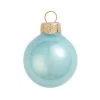 Northlight 40ct Blue Pearl Finish Glass Christmas Ball Ornaments 1.25" (30mm) 1 Northlight 40ct Blue Pearl Finish Glass Christmas Ball Ornaments 1.25" (30mm) -Christmas Ornaments Sales GUEST a9593dd1 5731 4d86 90fe 9d8fb0c8f02a